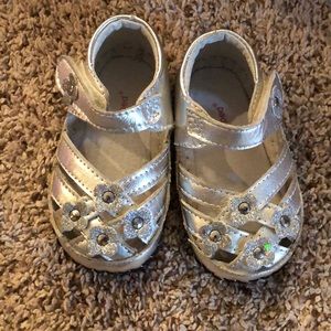 Silver Pediped’s